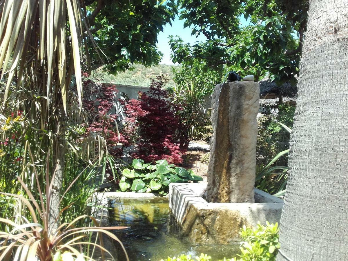 Studios Domaine L'Oliveraie Le Castellet  Εξωτερικό φωτογραφία